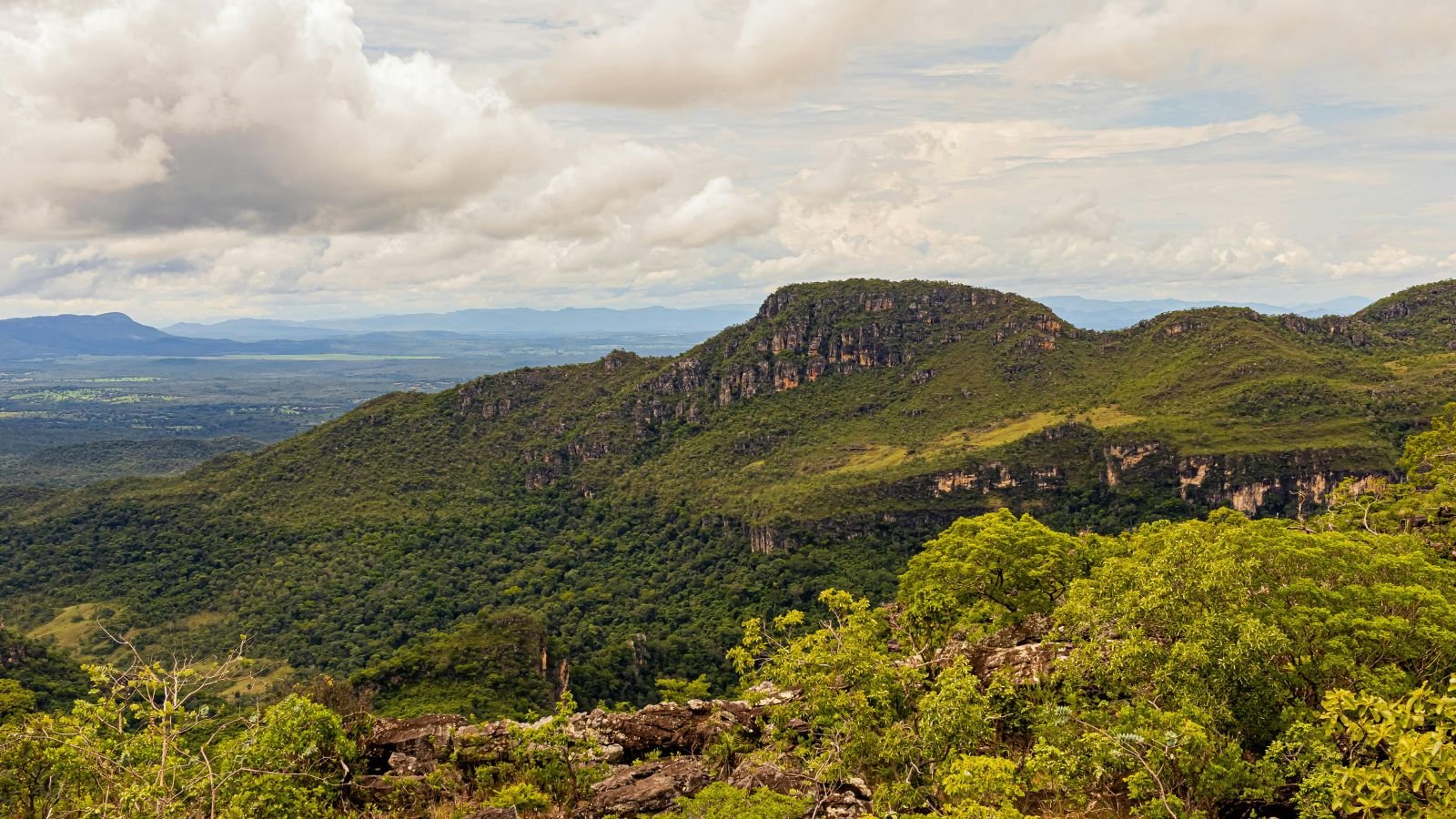 chapada dos veadeiros guia trilhas 